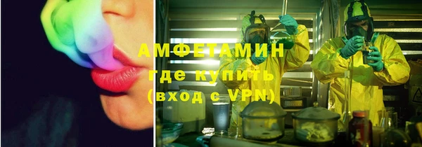 прущие грибы Волосово