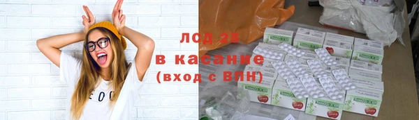 прущие грибы Волосово