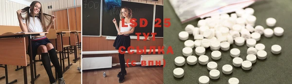 прущие грибы Волосово