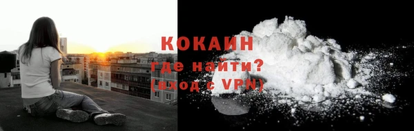 прущие грибы Волосово