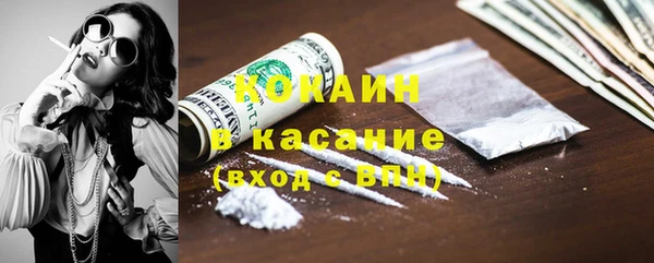 прущие грибы Волосово