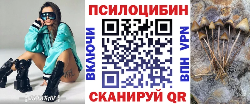 Псилоцибиновые грибы Cubensis  Новый Оскол 
