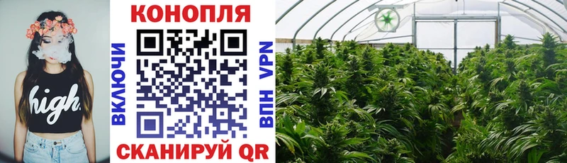 маркетплейс состав  что такое наркотик  Новый Оскол  Шишки марихуана VHQ 